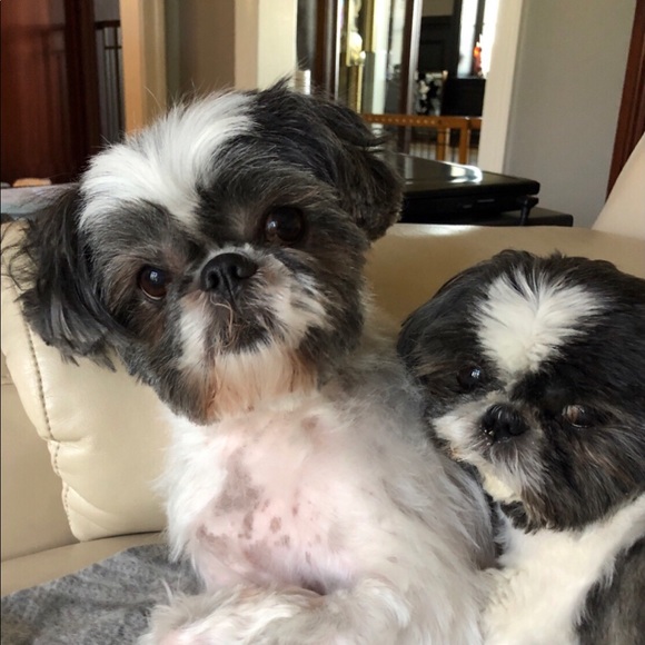 Meet your Posher, Robynn - Picture 1 of 1